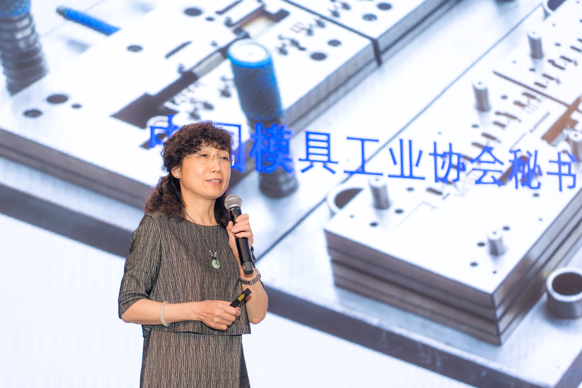 模具研討|“智造”落地，思瑞三坐標(biāo)助力“數(shù)字北侖”建設(shè)(圖2)